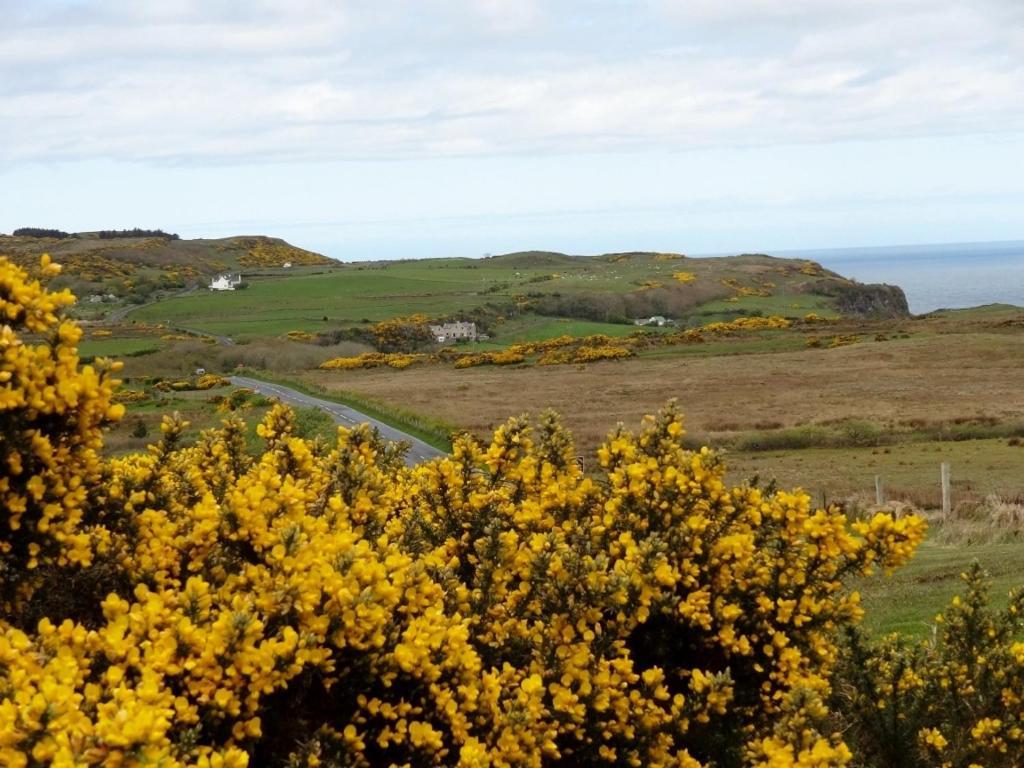 Glenmore House Ballycastle Esterno foto